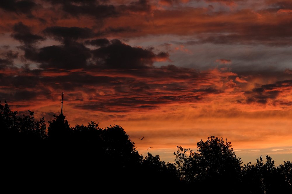 Photograph by Tatyana Baranova