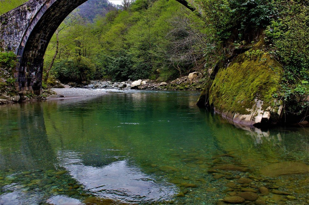 Photograph by Tornike Gogolishvili