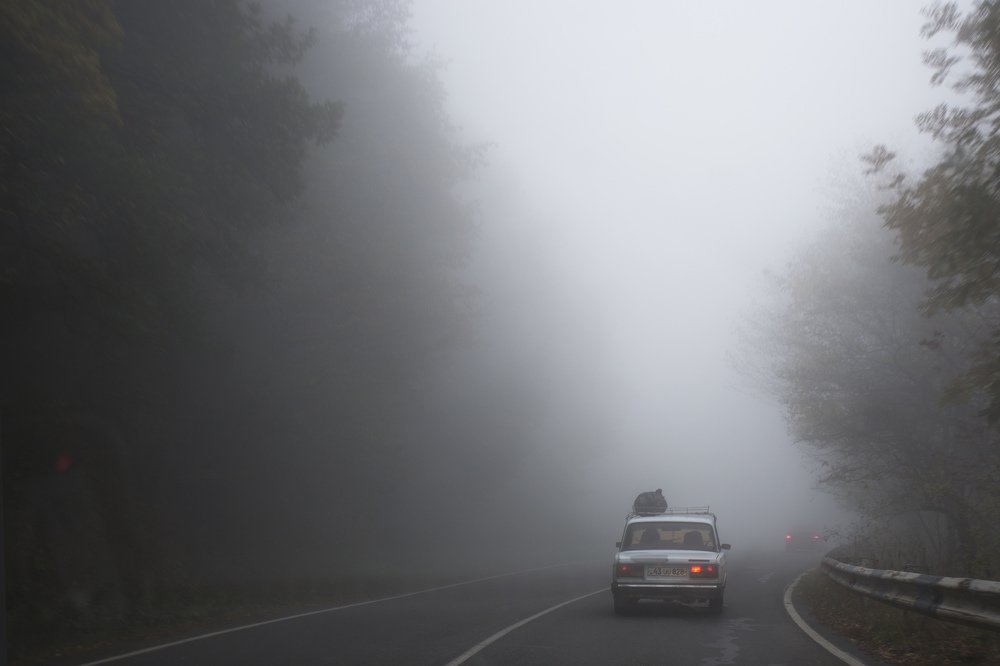 Photograph by Екатерина Аматуни