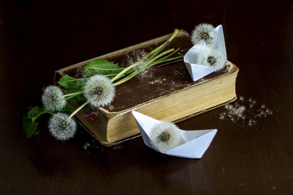 Бумажные кораблики