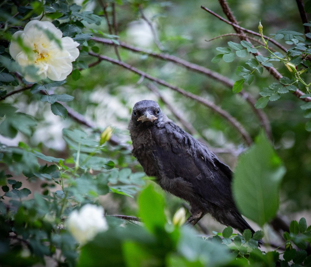 Photograph by Ольга Сафронова