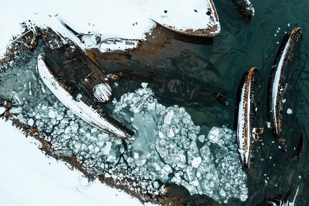 Photograph by Dmitry Leonov