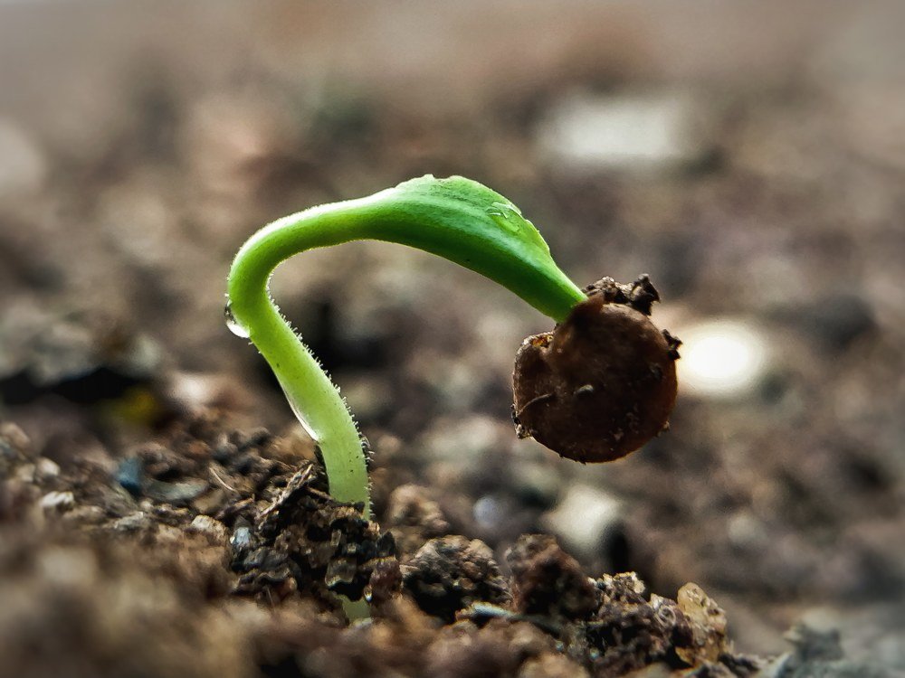 Photograph by Gibin George