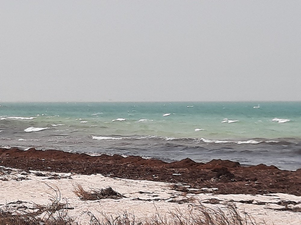 Фотография автора Shreya Suraj