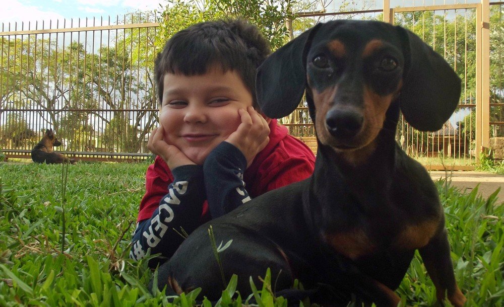 Photo #4669988