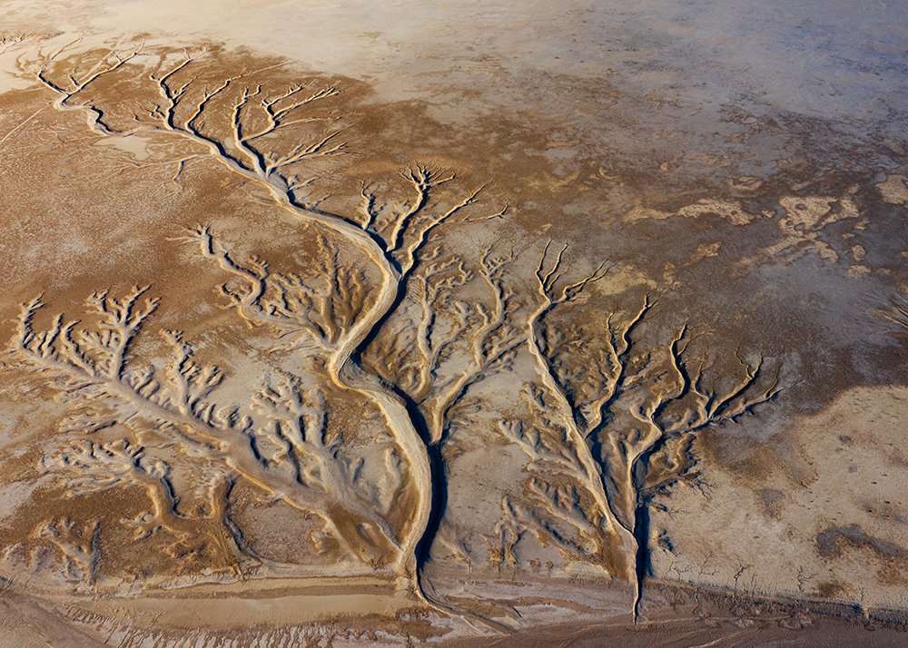 Photograph by  Ahmad abbasi