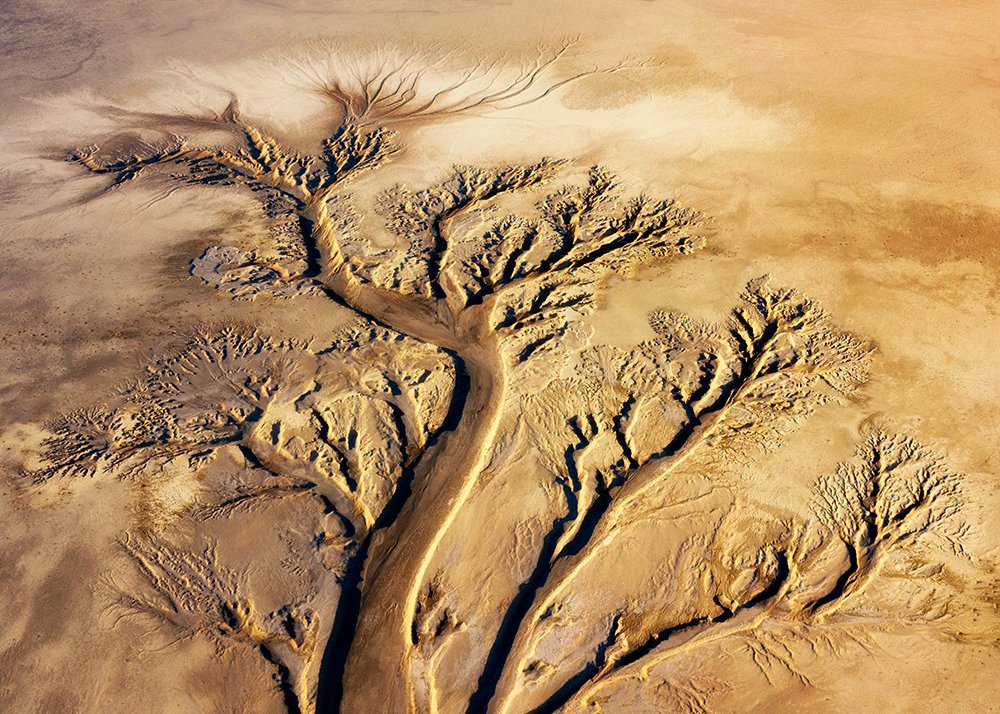 Photograph by  Ahmad abbasi