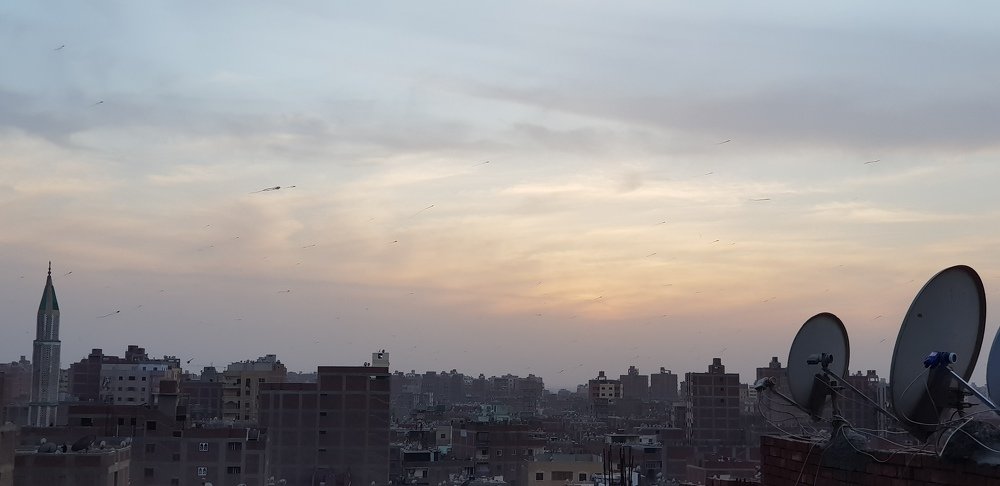 Photograph by Peter Nabil Habib
