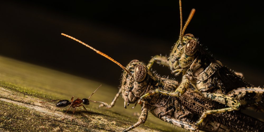 Photograph by Duane Vosika