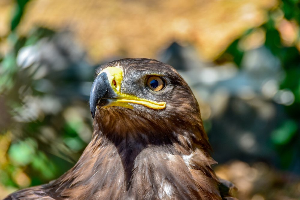 Фотография автора Сергей Дорошенко