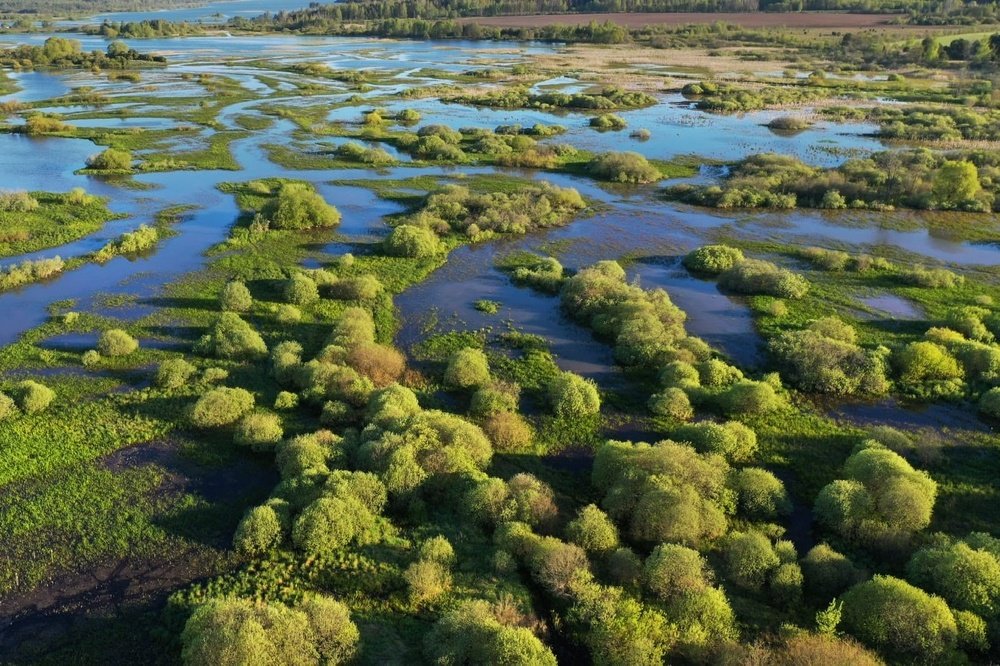 Photograph by Анатолий Андреев