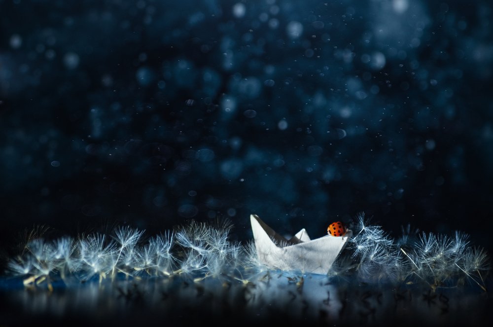 Photograph by Михаил Курихин