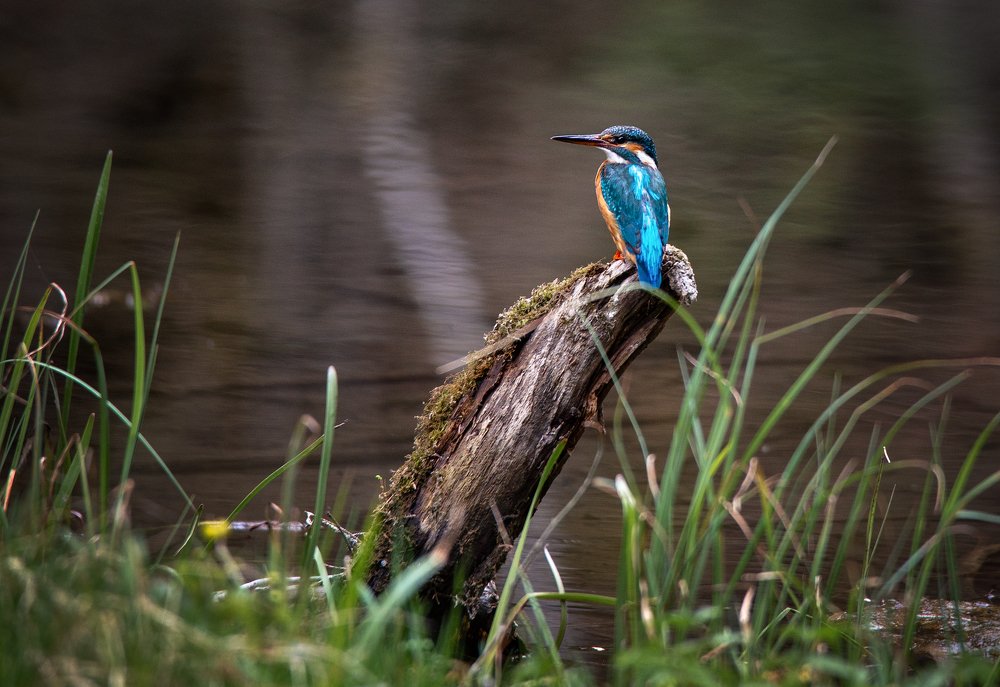 Photograph by Dace Spalviņa