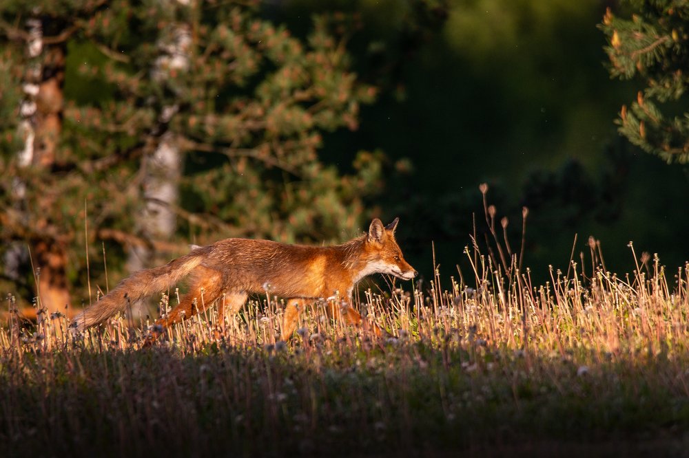 Photograph by Dace Spalviņa