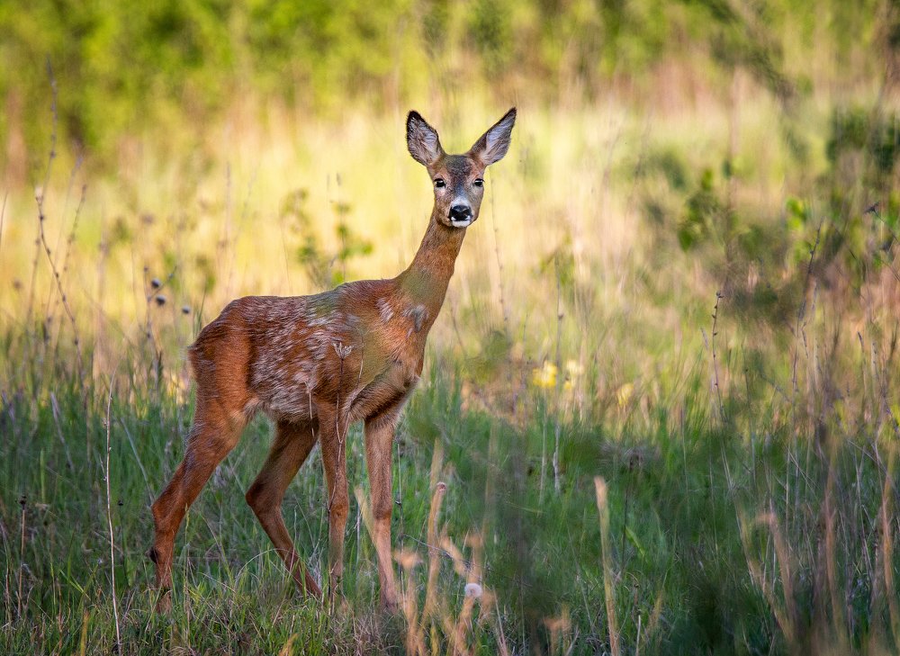 Photograph by Dace Spalviņa