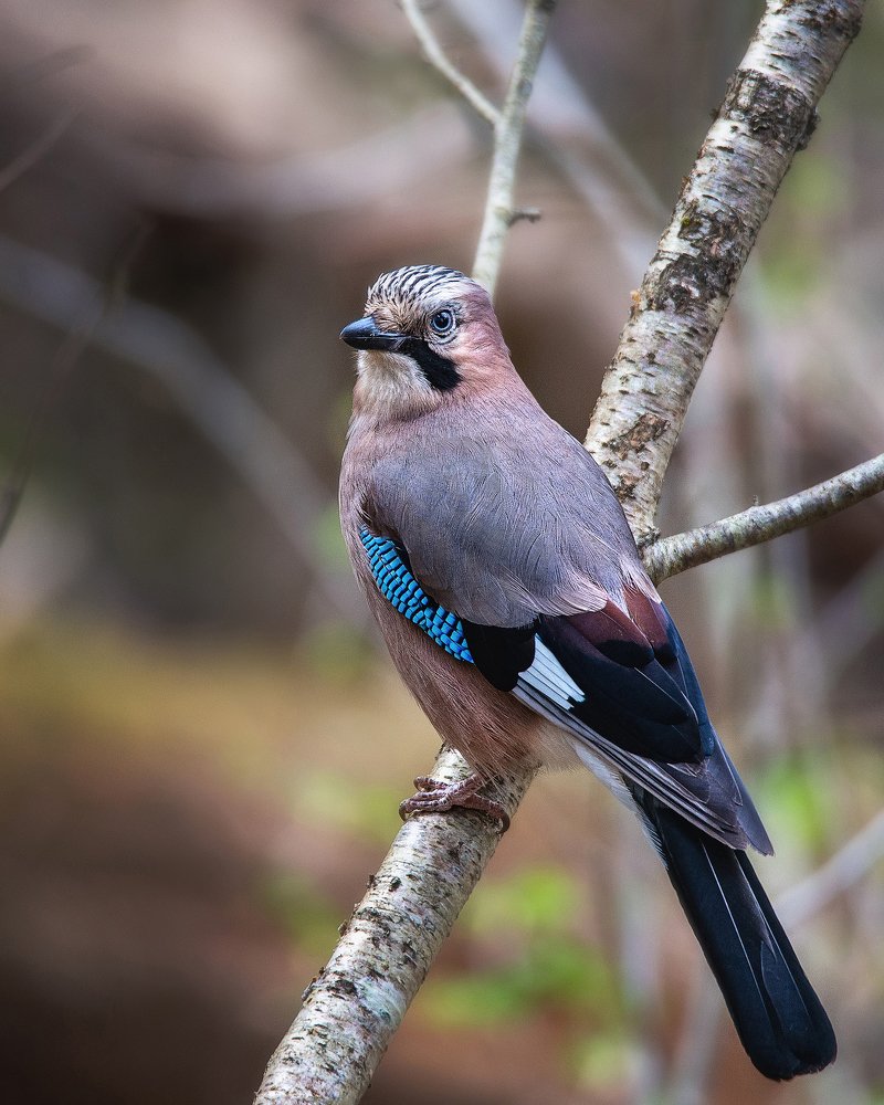 Photograph by Dace Spalviņa