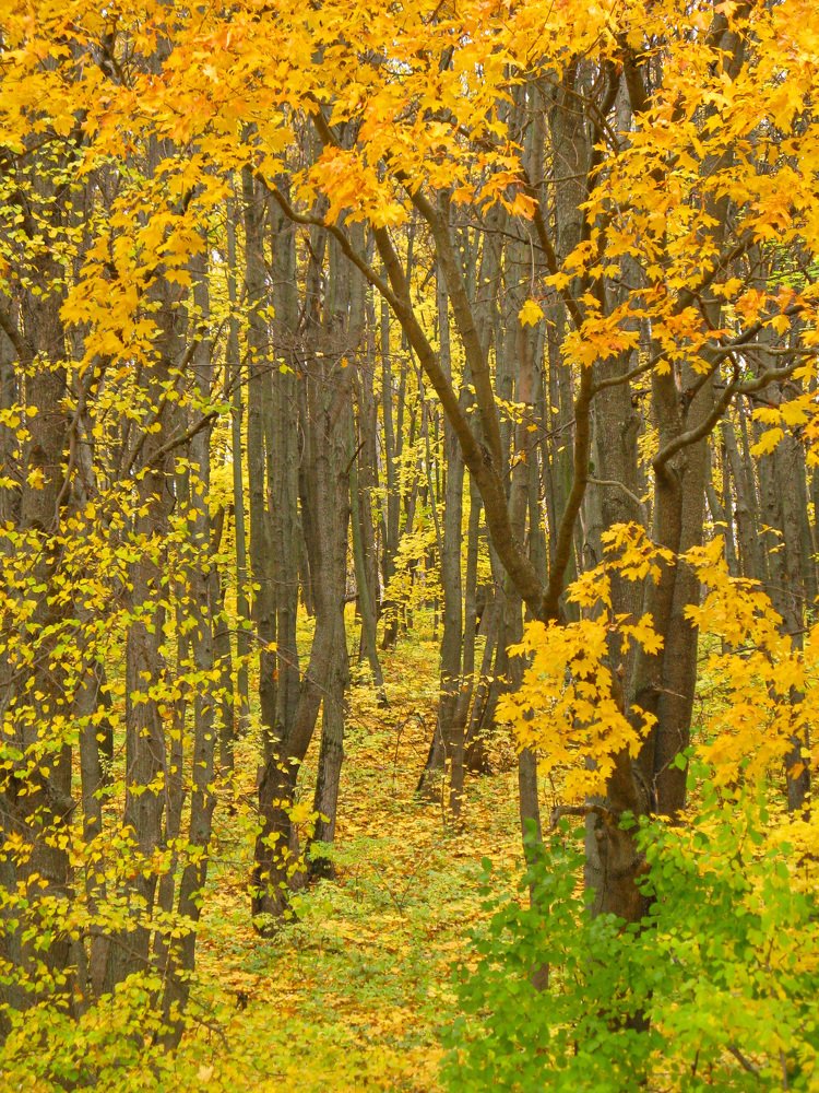 Photograph by Виктор Пономарёв