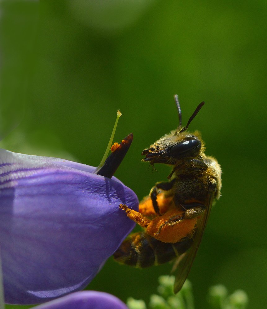Фотография автора Сергей Суворов