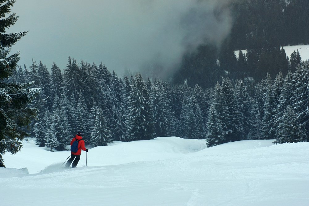 Photograph by Елена