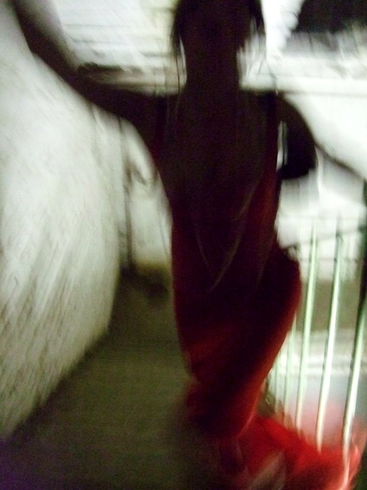 Photograph by Ava Ava