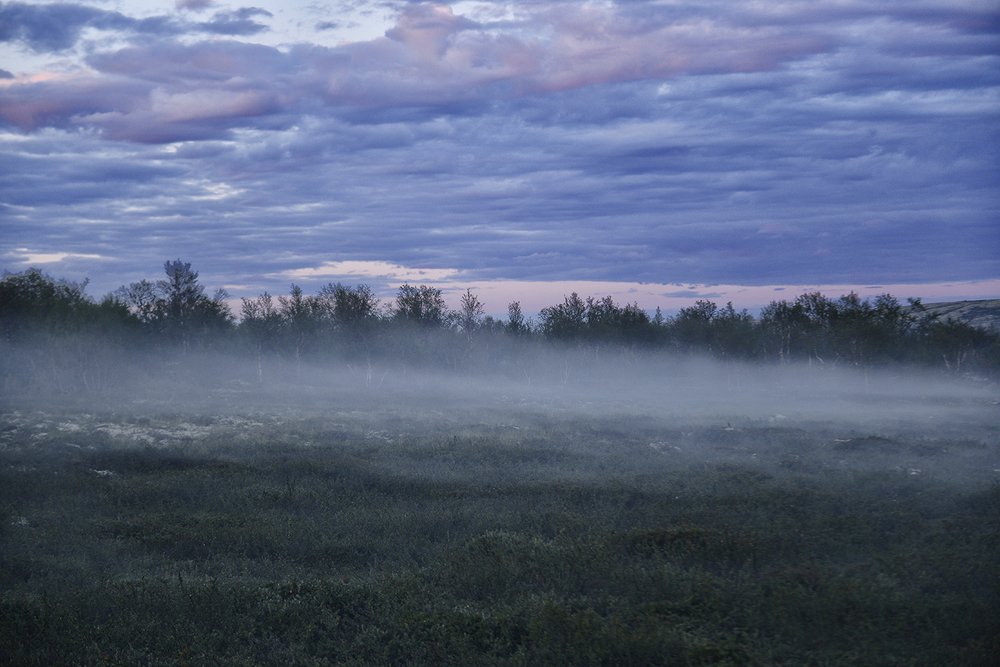 Photograph by Елена Коваленко