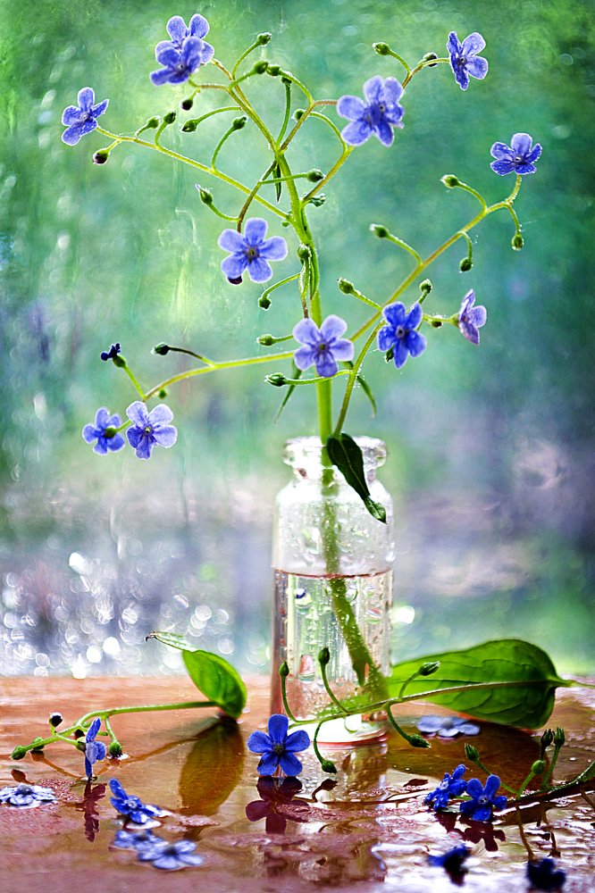 Photograph by Александра Коновалова