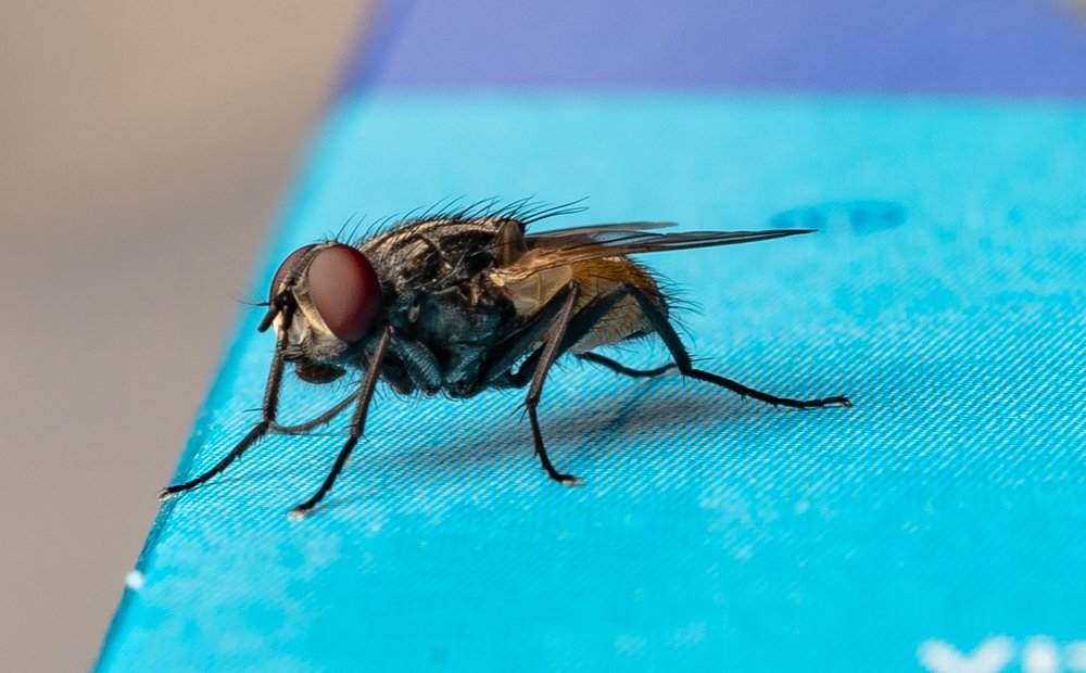 Photograph by Duane Vosika