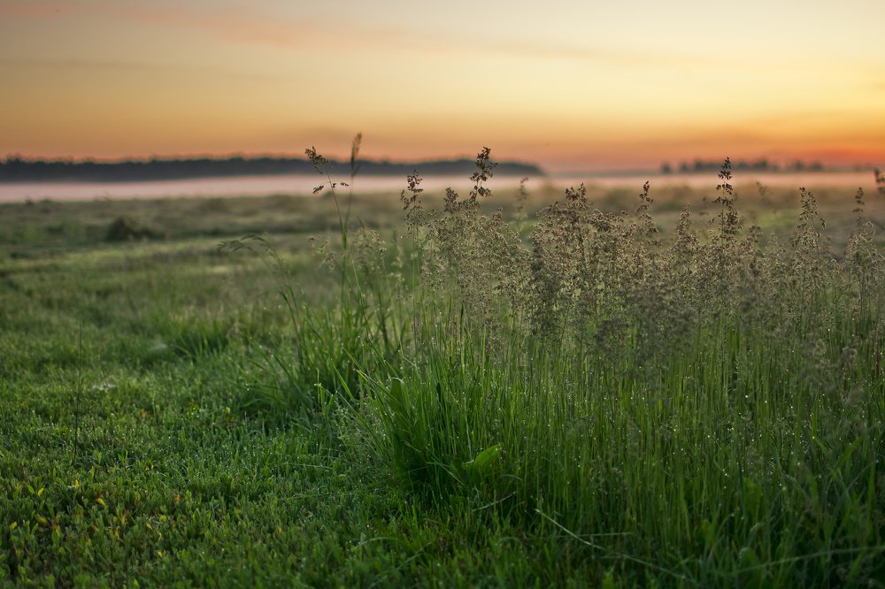 Photograph by Дмитрий Жижин