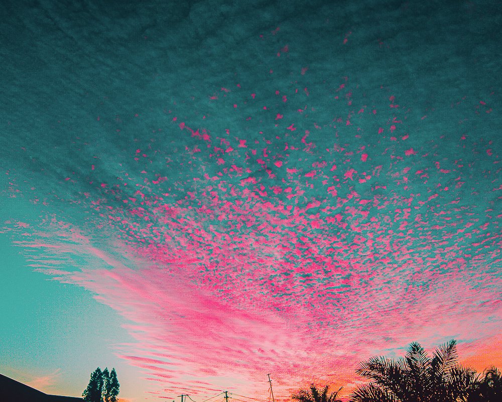 Photograph by Raphaël