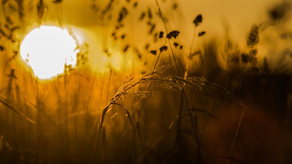 Photograph by Евгений Калагаев