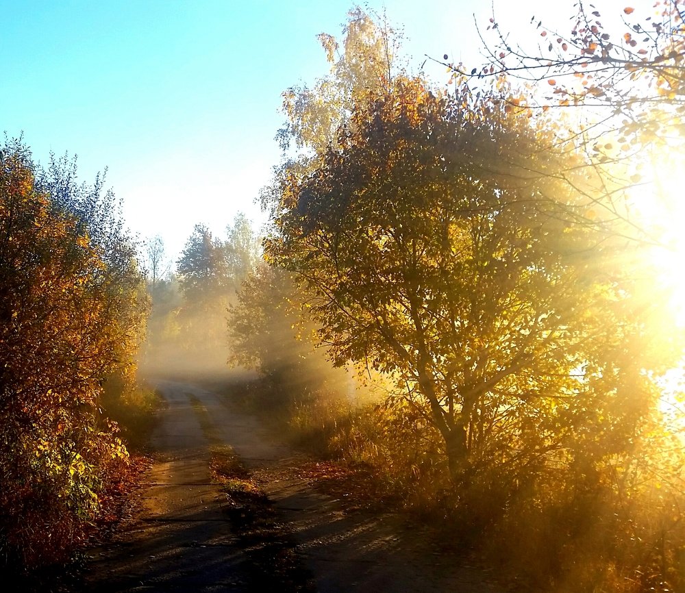 Осенний туман