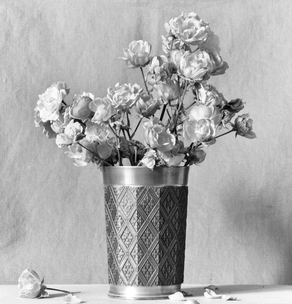 Photograph by Damjana Salehar