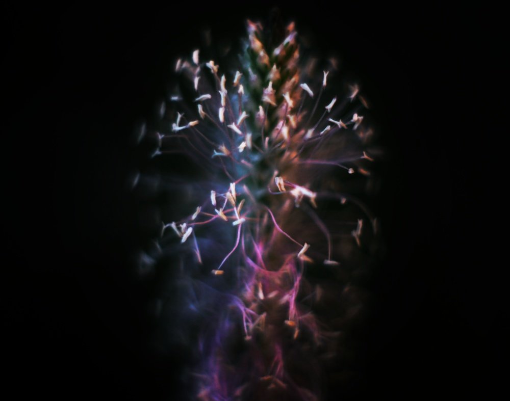 Космос рядом