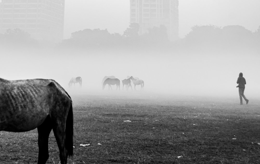 Photograph by GOUTAM MAITI