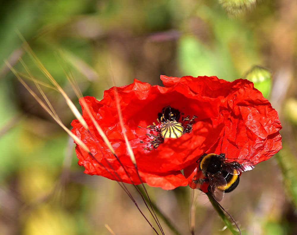 Photograph by Marina Weiland