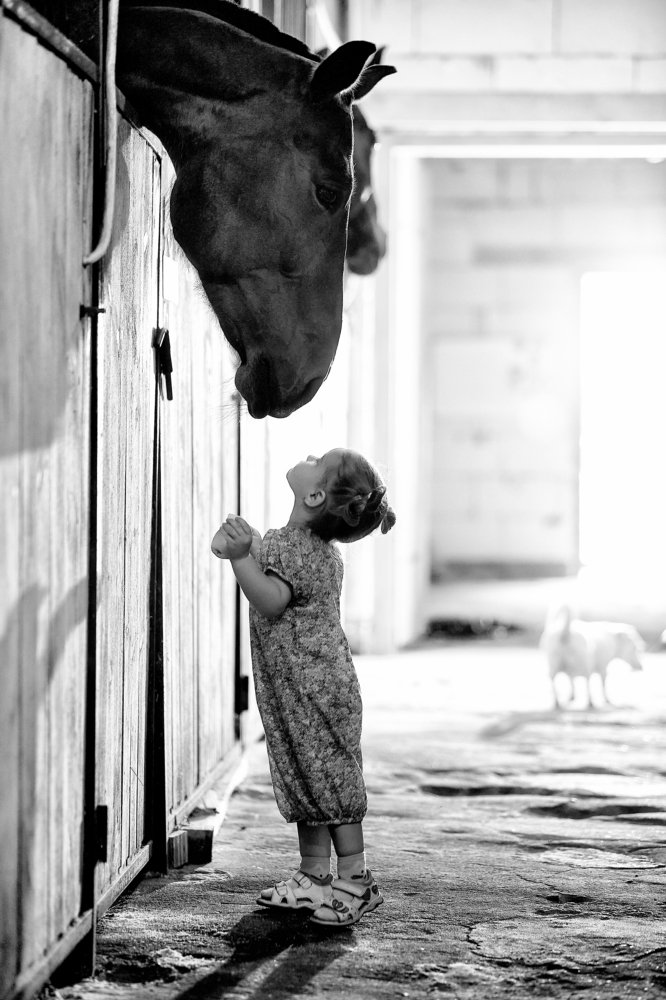 Photograph by Семенов Михаил