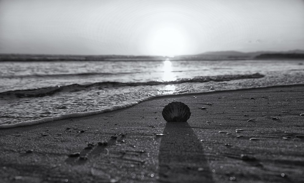 Photograph by Mário C.