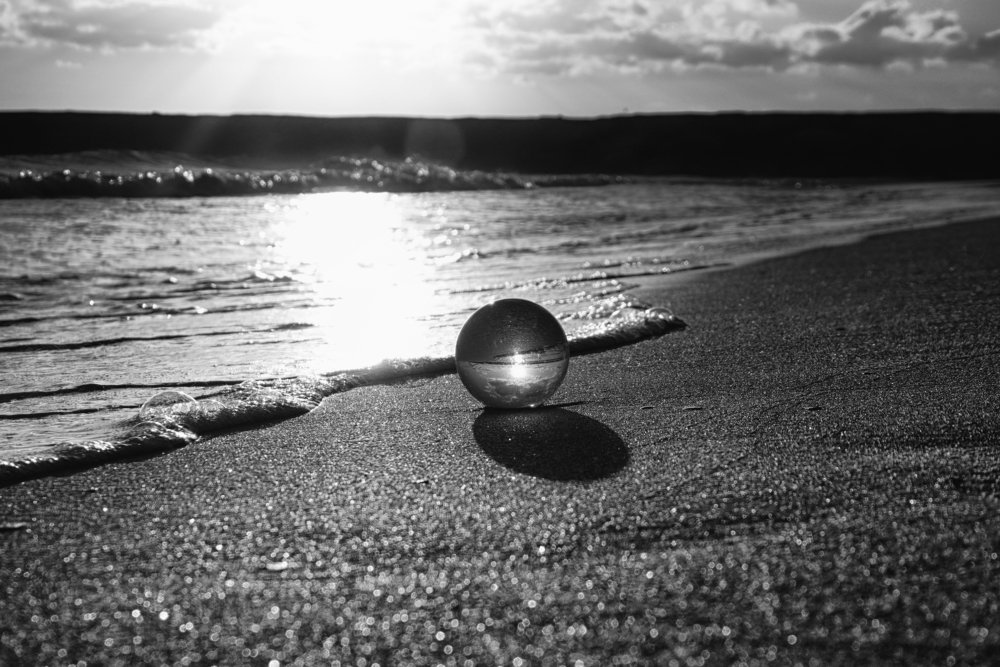 Photograph by Mário C.