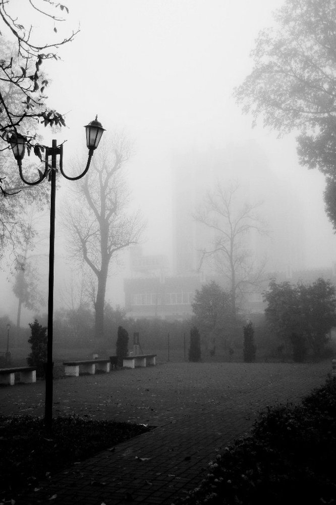 Photograph by Александр Карасев