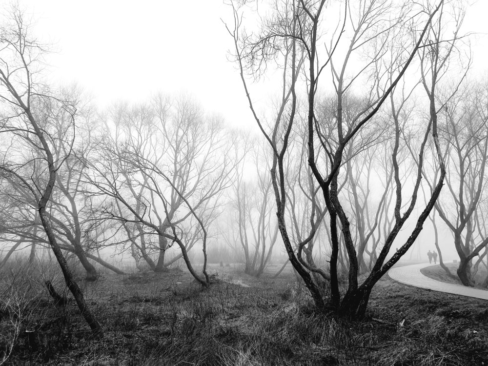 Photograph by Наталья Пагоцкая