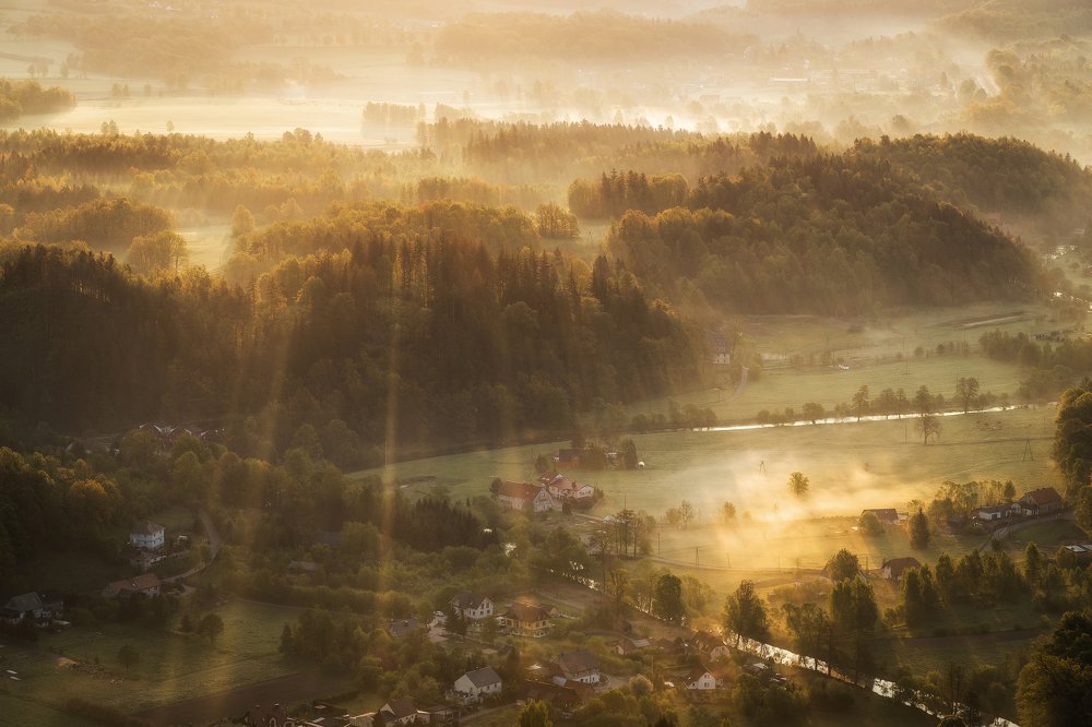 Photograph by Błażej Krzyżanek