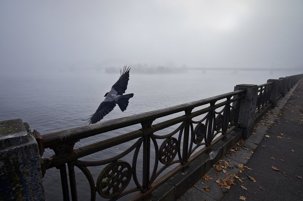 Photograph by Juris Buklovskis