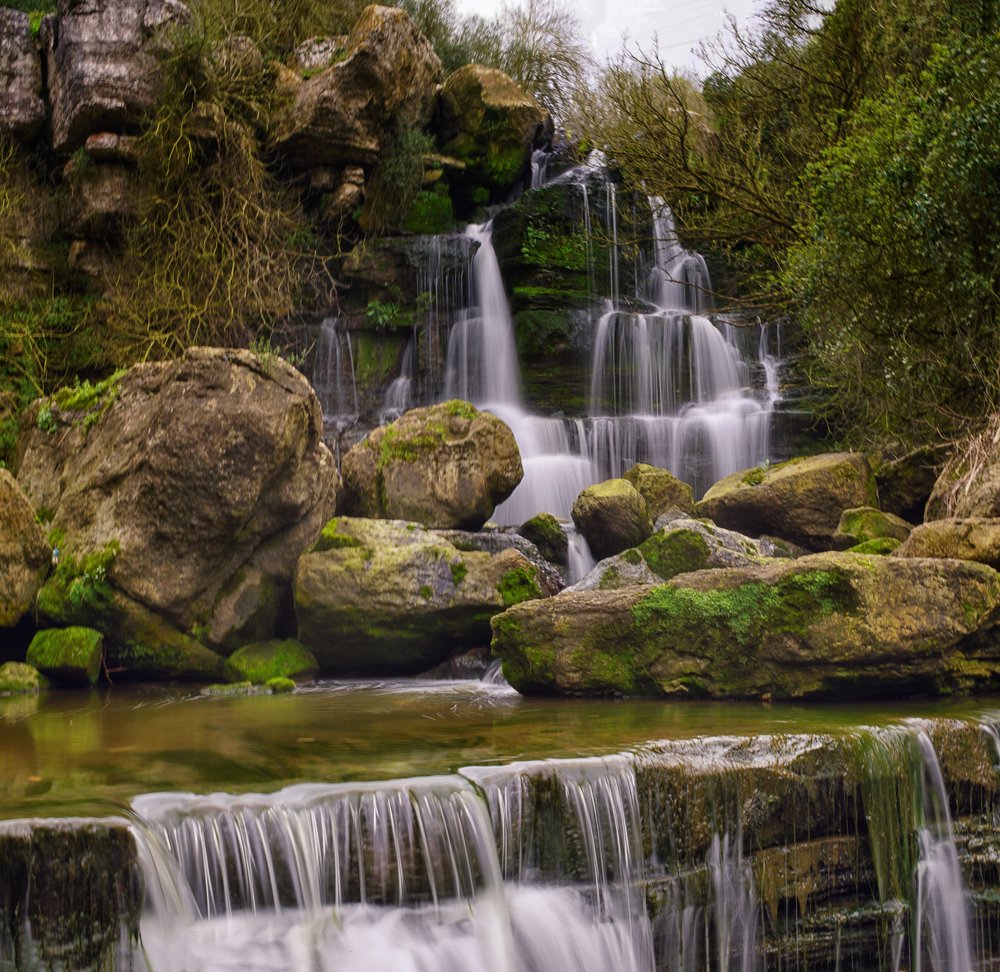 Photograph by Mário C.