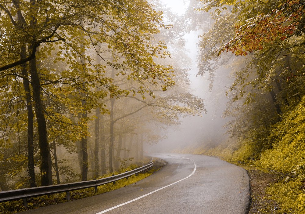 Photograph by Riahi Hosein