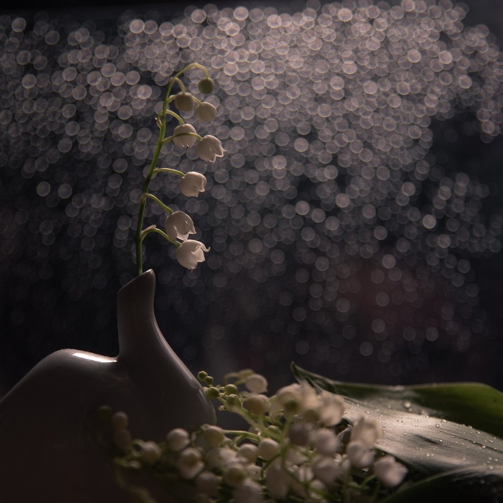 Photograph by Полина Кожухарь