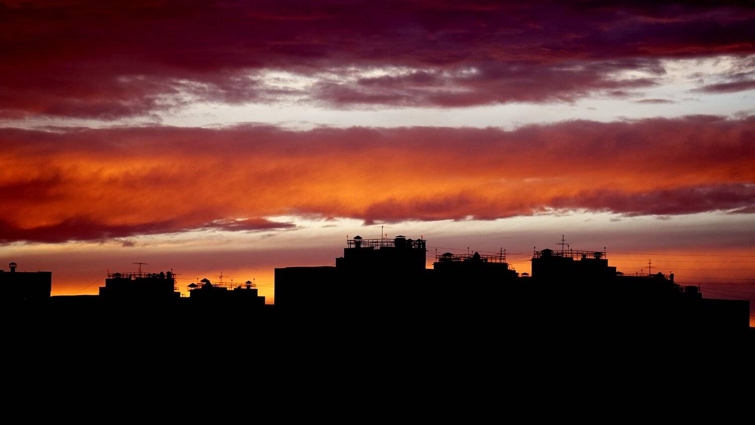 Photo #4671389