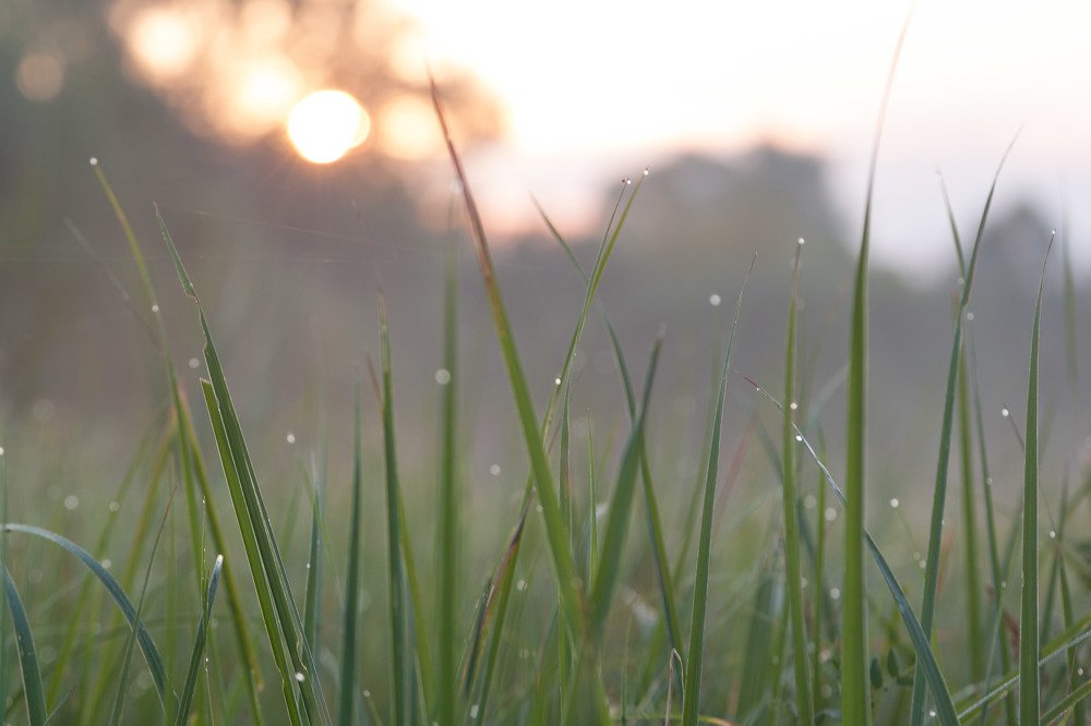 На рассвете