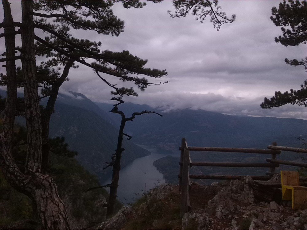 Photograph by Vladimir