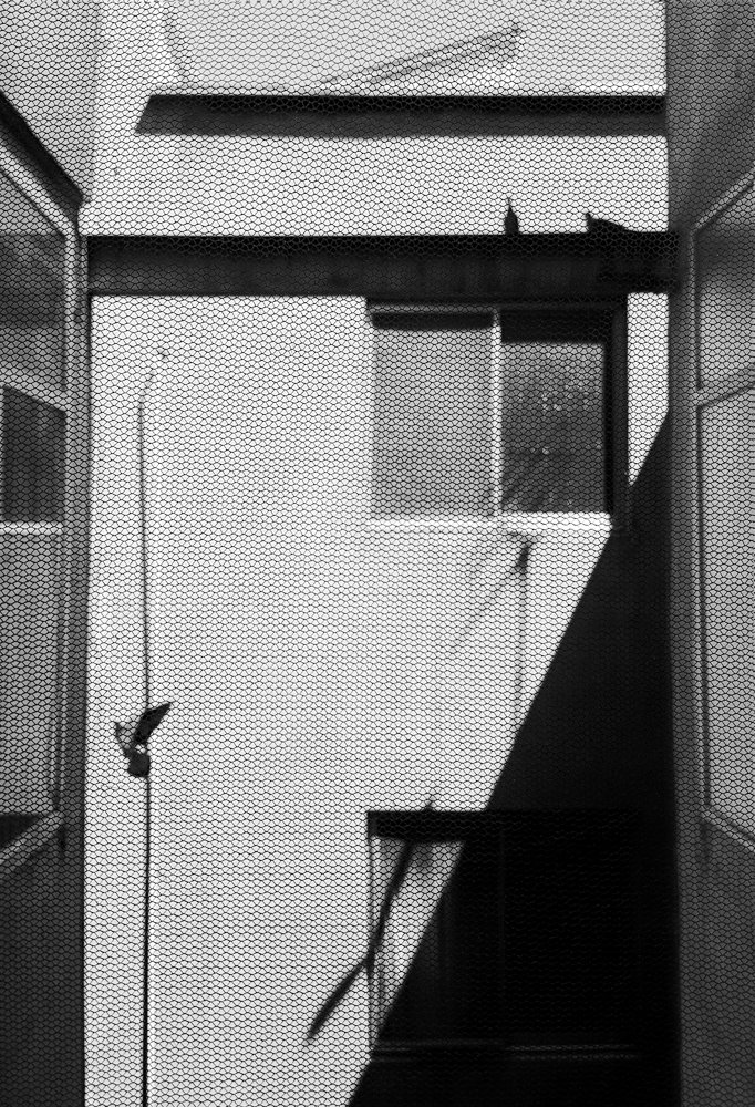 Photograph by Mohammad Dadsetan