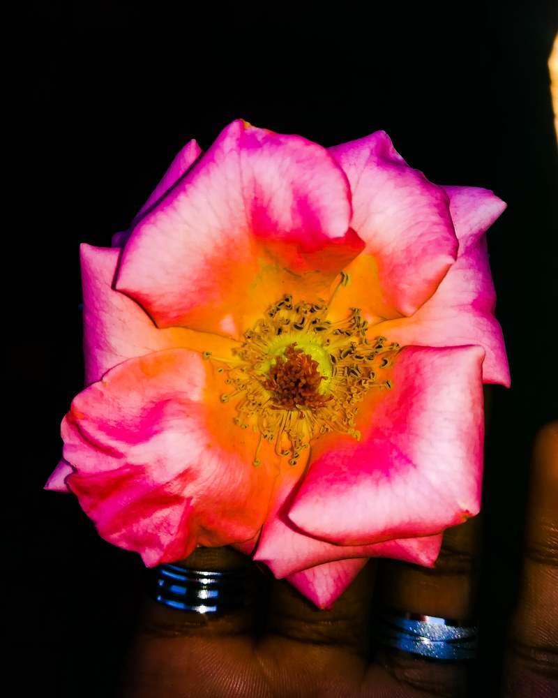 Photograph by Salmaan dada